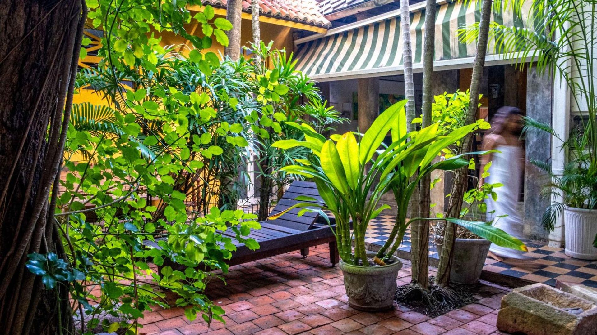 Hotel Casa De Columnas
