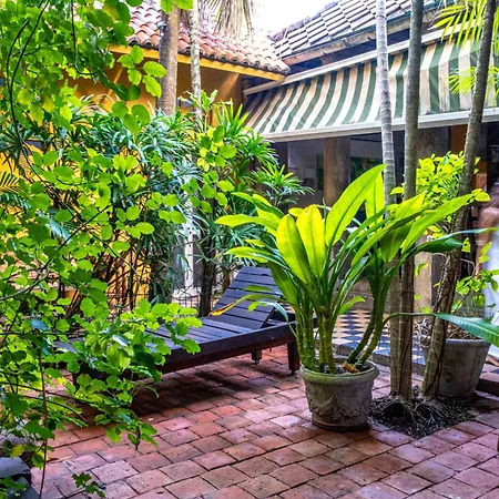 Hotel Casa De Columnas